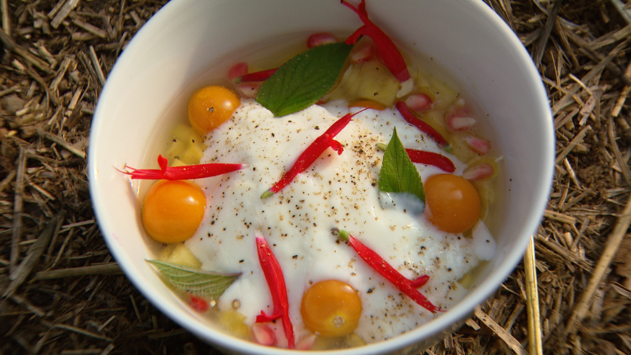 Ananascocktail met granaatappel, physalis en ananassalie