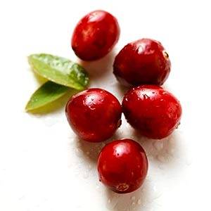 Cranberry clafoutis recept