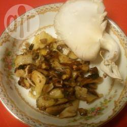 Funghi trifolati (gebakken paddenstoelen met peterselie) recept ...