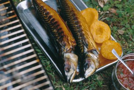 Gerookte makreel met badjaksaus