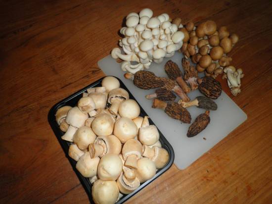 Plenty paddenstoelen en kruiden recept