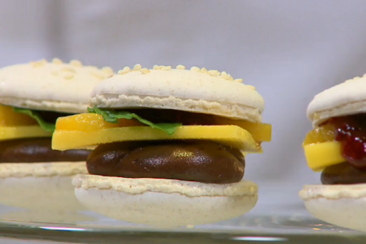 galblaas verzekering Trein Macaron 'hamburgertjes' van Rudolph van Veen - Culy