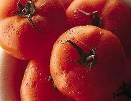 Tomatensaus (puttanesca) recept