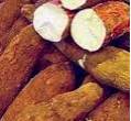Cassave  zoete aardappelkoekjes recept