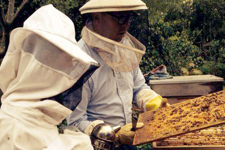 Rosah gaat op bezoek bij een stadsimker & maakt gezouten honing