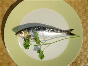 In chermoula gemarineerde sardines recept
