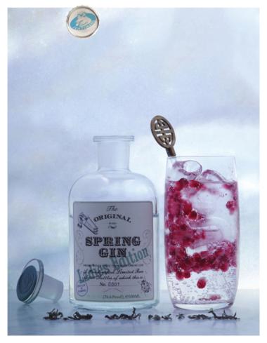 Recept 'spring gin ladies edition'