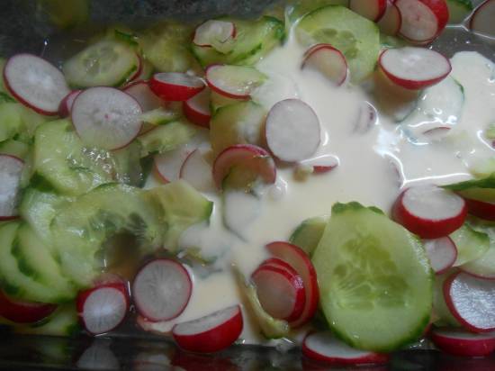 Komkommer-radijssalade recept