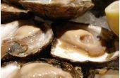 Herten-carpaccio met oester en truffelvinaigrette recept