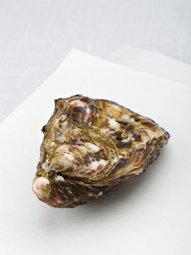 Recept 'gebakken oesters met gembersiroop en bieslook'