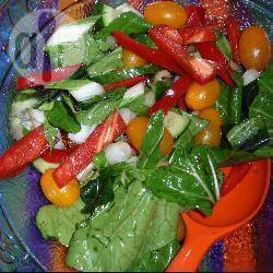 Rode en groene salade recept