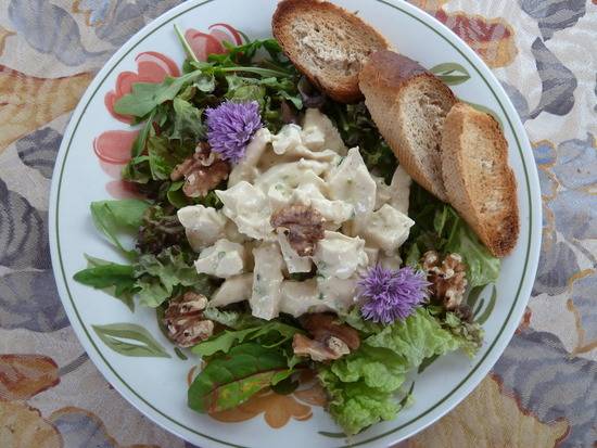 Salade (slanke) met gepocheerde kip en walnoten recept ...