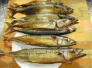 Toemis ikan ketjap tomat (makreel met ketjap en tomaat) recept ...