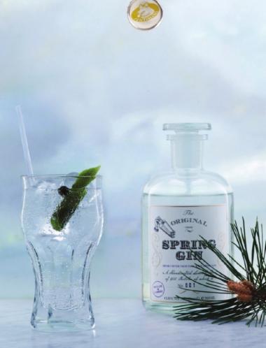 Recept 'spring gin original'