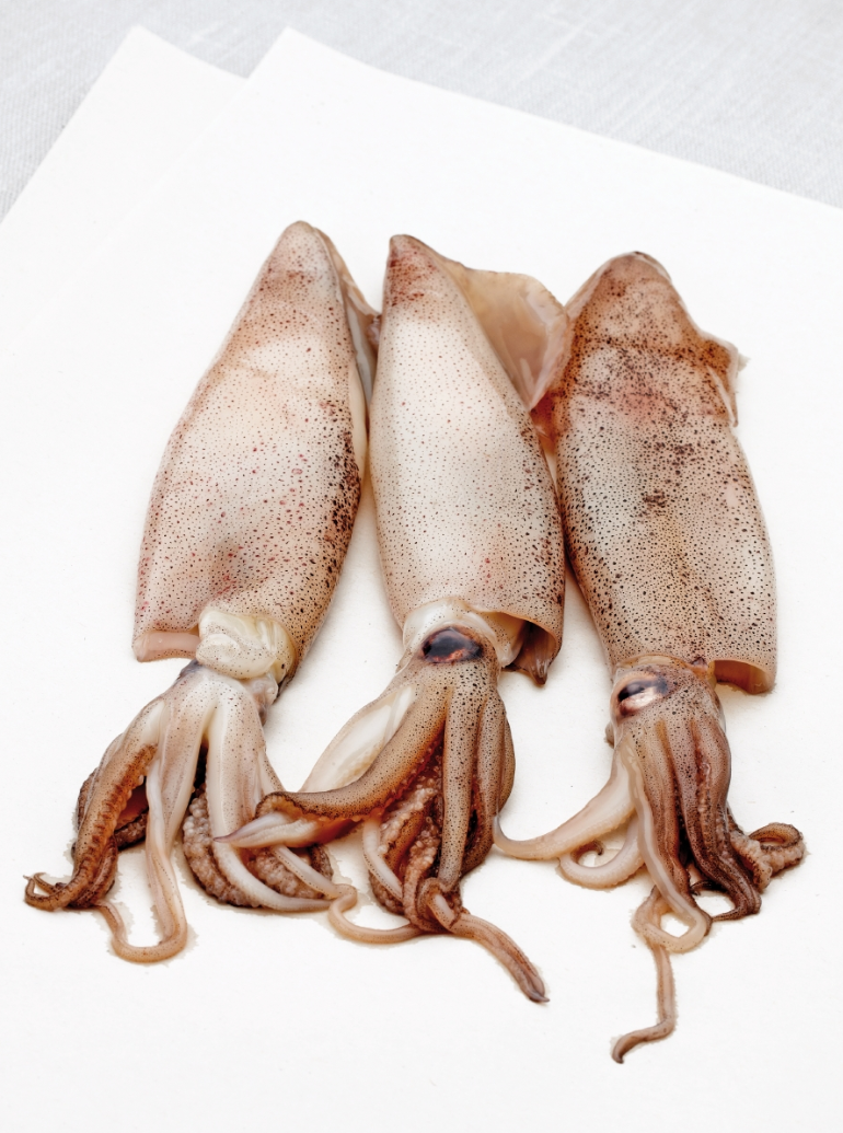 Recept 'gestoomde pijlinktvis gevuld met couscous'