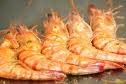 Scampi alla grilglia (gegrillde gamba`s) recept