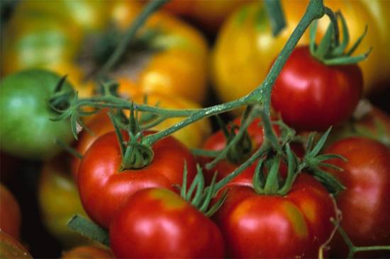 Tomatensoep met spinazie en limabonen recept