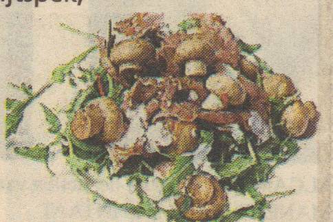 Stoute salade recept
