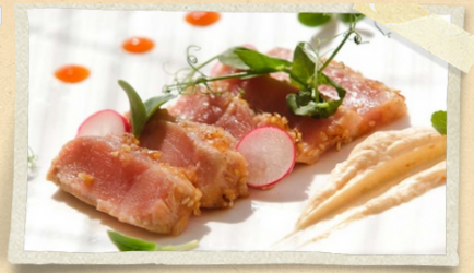 Fris pittige tonijn recept