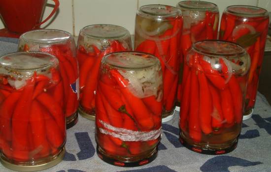 Rode of groene peper pickels in azijn recept