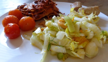 Frisse venkel- witlof salade recept
