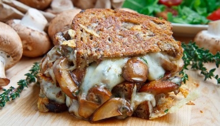 Mushroom grilled cheese sandwich (aka the mushroom melt ...