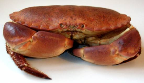 Krab- of garnalensoep recept
