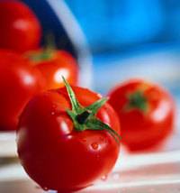 Koolhydraat arme: tomaten in kaas uit de oven recept