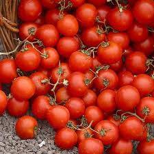 Romige tomatensoep recept