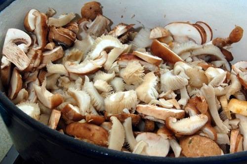 Herfst: romige paddenstoelensoep van jamie oliver recept ...