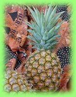 Fruitsalade in een ananasbootje recept
