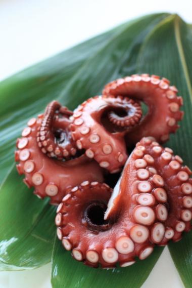 Recept 'carpaccio van octopus'