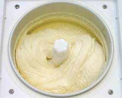 Bourbon vanilla ice cream (vanille-ijs) recept