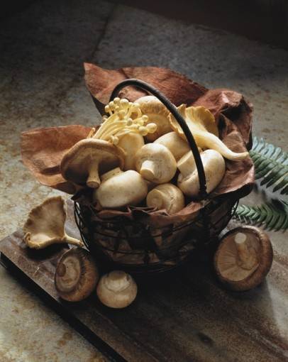 Filodeegtaartje met gemengde paddenstoelen en noten recept ...