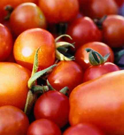 Spaanse tomaatjessalade recept