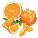 Sinaasappel chutney... recept
